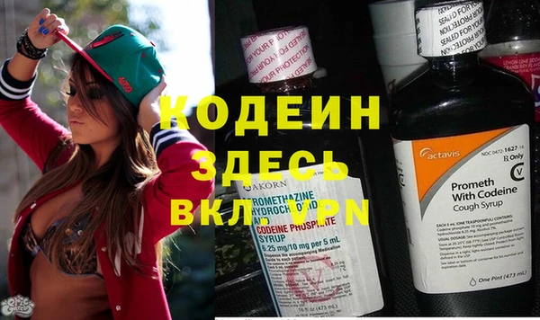индика Ахтубинск