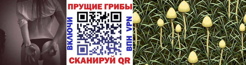 Псилоцибиновые грибы мухоморы  Калачинск 